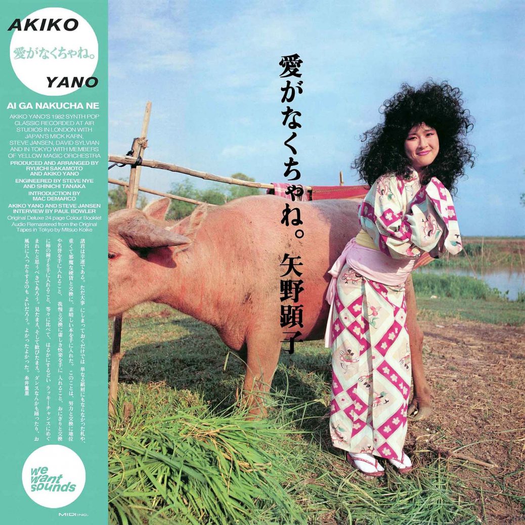 Akiko Yano - Ai Ne Nakucha Ne